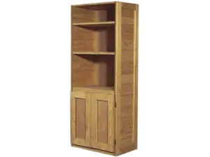 BOOK CASE with DOORS