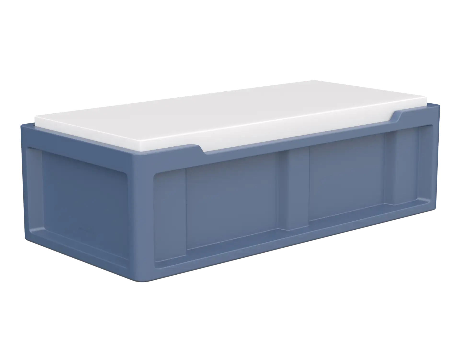 Jess Behavioral Bed 2.2