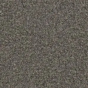 SCATTER - BARLEY