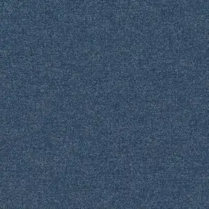 SCATTER - CASPIAN