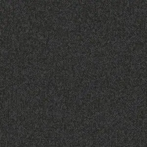 SCATTER - NOIR