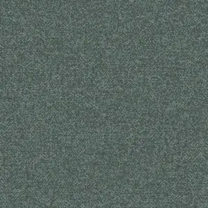 SCATTER - SPRUCE