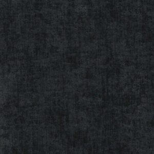 Cody - Black Beauty